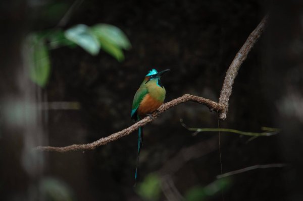 La méthode de jeûne intermittent : une stratégie alimentaire pour booster votre santé